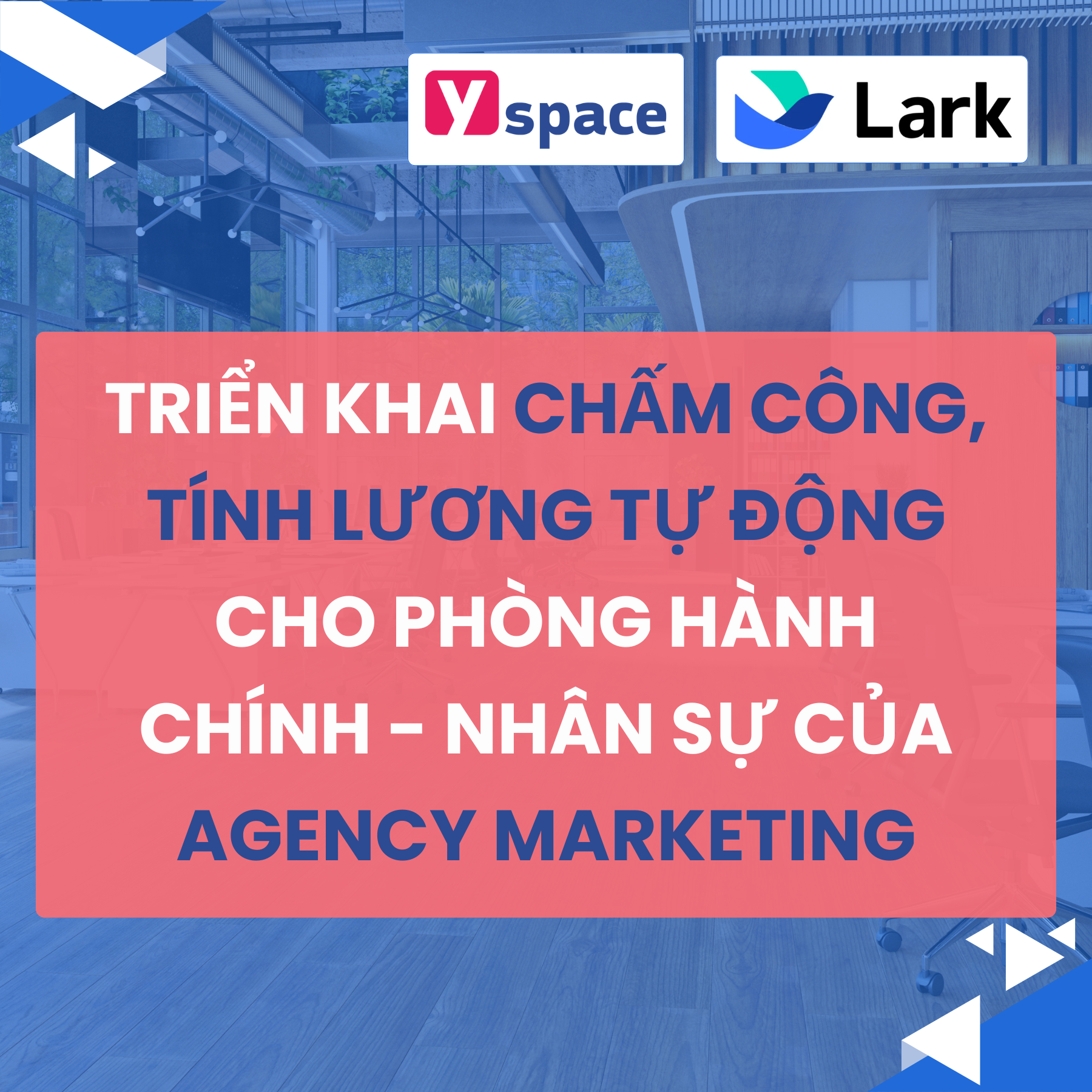 Triển khai chấm công, tính lương tự động cho phòng hành chính - nhân sự của Agency Marketing