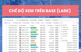 Những lưu ý khi sử dụng chế độ xem trên Base (Lark)
